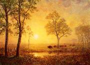 Albert Bierstadt Sunset on the Mountain oil